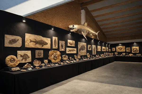 Ausflugsziel Kärnten bei Waidegg mit Fossilien-Ausstellung