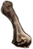 Dinosaurier Animation bein-links-oben