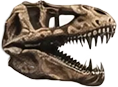 Dinosaurier Animation kopf