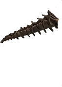 Dinosaurier Animation schwanz 